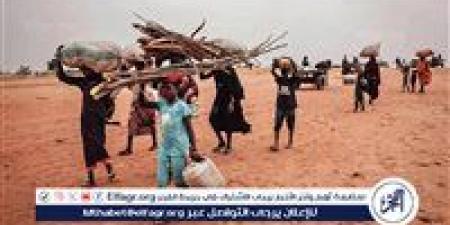 نائب مجلس السيادة السوداني: لا هدنة ولا تفاوض والسلام العادل سيتحقق برؤية الشعب والحكومة