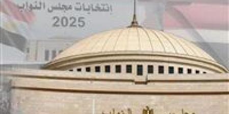 لليوم الثاني.. السفارة المصرية في إيران تواصل فتح لجان التصويت بجولة الإعادة للدوائر الـ19 الملغاة