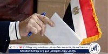 السفارات والقنصليات المصرية بالخارج تستقبل الناخبين للتصويت بانتخابات مجلس النواب في كندا والولايات المتحدة الأمريكية