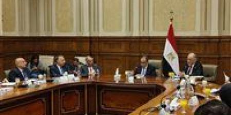 وزير الخارجية يكشفها للنواب: مصر رسمت حزمة خطوط حمراء في سياستها الخارجية