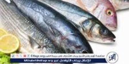 اسعار الاسمأك اليوم الخميس 25ديسمبر 2025 فى المنيا