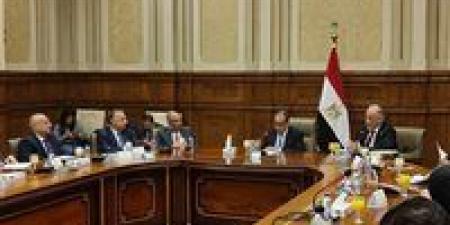 وزير الخارجية أمام «حقوق إنسان الشيوخ»: مصر تواجه تحديات غير مسبوقة وحدودنا خط أحمر وأي مساس بها سيقابل برد وفق القانون الدولي