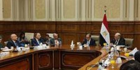 وزير الخارجية للشيوخ: مصر تلتزم بأوضاع حقوق الإنسان طواعية و ليس بمنطق «لي الذراع»و نرفض تسيس ملف حقوق الإنسان