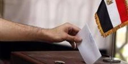 لليوم الثاني.. السفارات المصرية في 4 دول تواصل فتح لجان التصويت