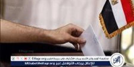 بدء الفرز في لجان الاقتراع بسفارات وقنصليات مصر في نيوزيلندا وأستراليا وكوريا واليابان