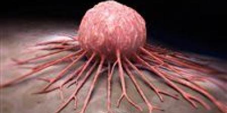 تقضي على السرطان بجرعة واحدة..دراسة: بكتيريا لضفدع ياباني تخلصك من الأورام نهائيا