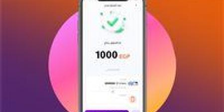 رسمياً بعد قرار المركزي.. الحد الأقصى للسحب اليومي من إنستا باي