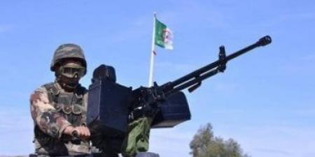 أمن الجزائر يحبط تهريب شحنات مخدرات كبيرة عبر ميناء بجاية