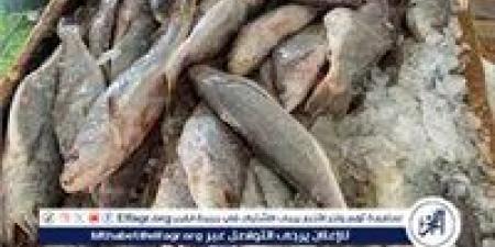 أسواق الأسماك بمحافظة أسوان، اليوم الجمعة 26 ديسمبر 2025