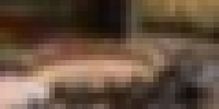 مجلس الأمن الدولي يعقد جلسة طارئة غدا لبحث الاعتراف الصهيوني بـ"أرض الصومال"