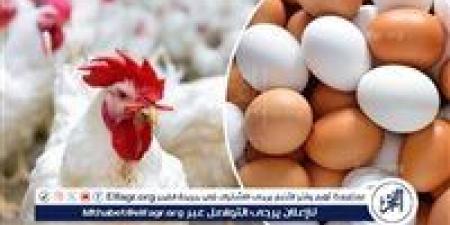 أسعار البيض اليوم الأحد 28-12-2025 في محافظة الغربية