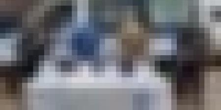 شرطة النعامة توقف شخصين وتحجز أزيد من 02 كلغ من الكيف المعالج