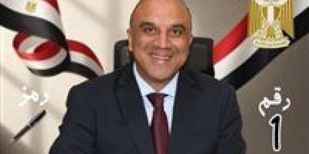 مستقبل وطن يحصل على أول مقعد له في جولة الإعادة لـ 19 دائرة الملغاة بفوز مرشحه وليد المليجي