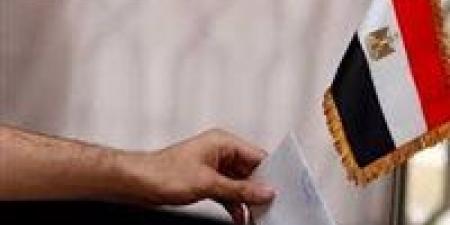 ضبط عامل وبحوزته عدد من بطاقات الرقم القومي لدفعهم للتصويت لصالح مرشح آخر بقنا