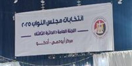 برلمان 2025.. اعلان نتيجة الحصر العددي للدائرة الثالثة بالبحيرة