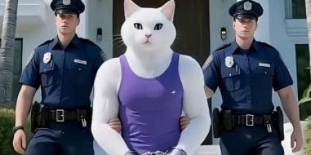 غزو المحتوى الرديء.. الذكاء الاصطناعي يسيطر على 20% من مقترحات يوتيوب