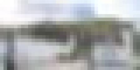 مشاريع مينائية بسكيكدة .. إنجاز محطة الحاويات بلغ 80%