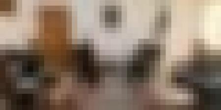 استعداد صيني لتعميق التعاون الصناعي مع الجزائر