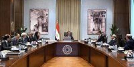 رئيس الوزراء يُتابع إجراءات رفع كفاءة أداء الهيئات الاقتصادية