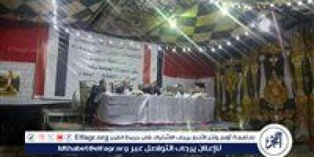 الحصر العددى بالدائرة الثالثة بأسيوط يشير إلى تقدم معوض وجودة والعمدة بالمقاعد الثلاثة