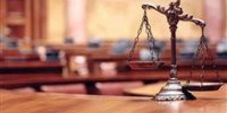 تاجيل محاكمه 10 متهمين بـ" غرف اللجان الفنيه " لسماع أقوال شاهد الإثبات الأول