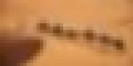 الجزائر تتألق عالميًا وتجذب الأنظار بواحاتها الصحراوية