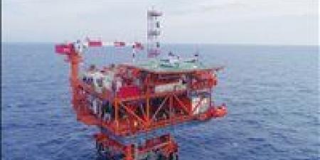 البترول: وضع 430 بئرًا على خريطة الإنتاج وتحقيق 82 كشفًا جديدًا خلال 2025