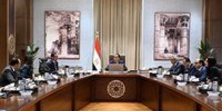 رئيس الوزراء يتابع آليات تحقيق أقصى استفادة من الأصول التي تم نقل ملكيتها لصندوق مصر السيادي