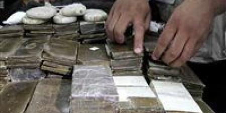 حملات وزارة الداخلية تضبط مئات قضايا المخدرات وتنفذ أكثر من 62 ألف حكم خلال 24 ساعة