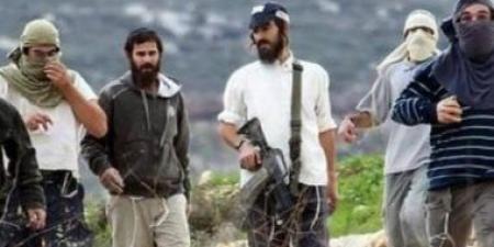 إصابة طفل ومسن في اعتداء للمستوطنين شرق بيت لحم بفلسطين