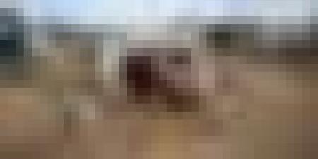 ربع مليون نازح متضرر بسبب المنخفض الجوي الذي يضرب قطاع غزة