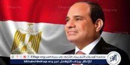 محافظ قنا يهنئ الرئيس السيسي بمناسبة العام الميلادي الجديد 2026