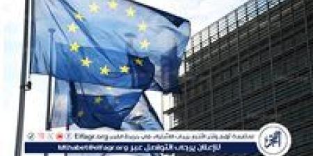 برلماني أوروبي: أوكرانيا قد تخسر المزيد من الأراضي بعد استهداف مقر بوتين