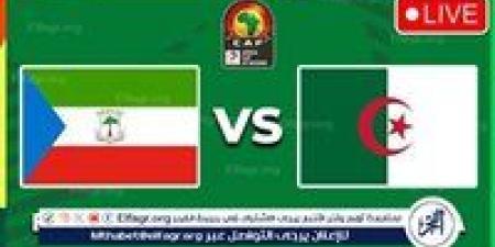 يلا شوت بث مباشر.. مشاهدة الجزائر × غينيا الاستوائية Twitter بث مباشر دون "تشفير أو اشتراك" | كأس أمم إفريقيا