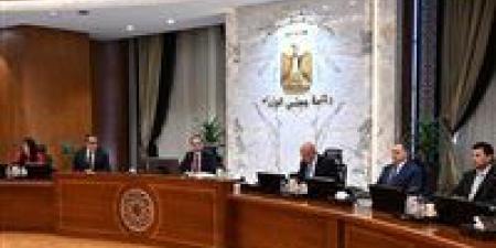 الحكومة توافق على مد العمل بالتأشيرة الترانزيت مجاناً لمدة عام