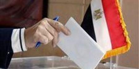 السفارة المصرية في إيران تفتح لجان التصويت للمصريين بالخارج