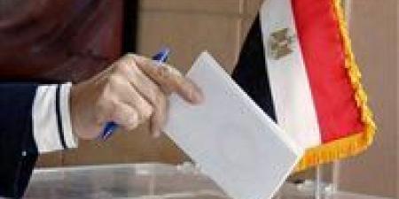 السفارات المصرية في 18 دولة تفتح أبوابها لاستقبال الناخبين في انتخابات مجلس النواب
