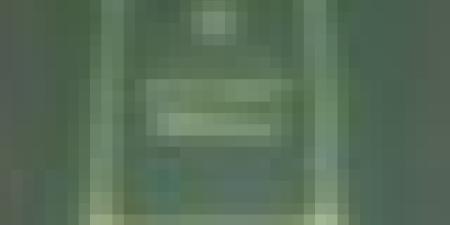 قانون المالية 2026 يصدر بالجريدة الرسمية