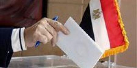 لليوم الثاني.. السفارات المصرية في 4 دول تواصل فتح لجان التصويت