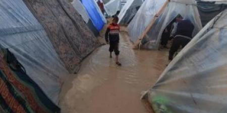 مؤسسة "أكشن أيد": قيود إسرائيل على العمل الإنساني والمنظمات الدولية يفاقم معاناة غزة