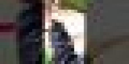 #شاهد توقيع اللاعب #حاج_موسى على #العلم_الوطني لإحدى مشجعات #الخضـــر