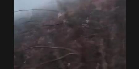 برفقة زوجها رجل الأعمال العربيّ... ممثلة عالميّة في لبنان (صور)