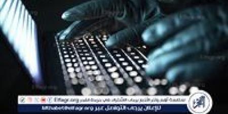 رئيس المركز البلجيكي للأمن السيبراني يؤكد أن أوروبا "فقدت الإنترنت"