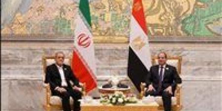 خبير دولي: حجم الجهود المصرية لخفض التصعيد بين طهران وواشنطن "مثيرة للإعجاب"