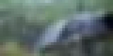 أمطار رعدية غزيرة وهبوب رياح قوية على عدة ولايات