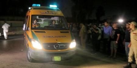 مصرع 8 أشخاص في تصادم مروع بطريق كفر داود – السادات بالمنوفية