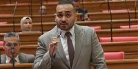 النائب أحمد ناصر يتقدم بطلب إحاطة لمراجعة اتساق الاستراتيجية الصناعية مع أزمة الطاقة