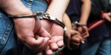 حبس مواطن بزفتي بعد نشر فيديو يتضمن سبًا وقذفًا لنائبة برلمانية