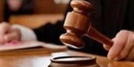 جنايات المنصورة تواصل نظر محاكمة سيدة متهمة بالاتجار بالبشر وتزوير نسب طفلين للاستيلاء على ميراث