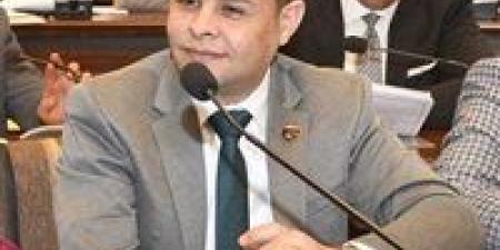 النائب مدحت الكمار: قانون الإدارة المحلية يعزز اللامركزية ويحدث نقلة نوعية في الإدارة المحلية